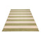 Nyoma Lime Striped Outdoor Rug
